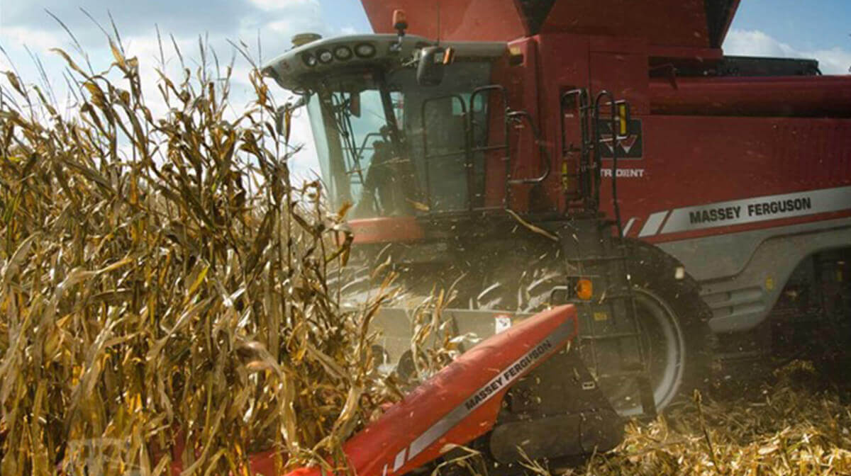 Harvesters - Brown Company